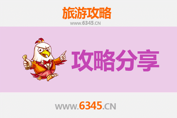 红河建水旅游攻略：跟团与自由行深度对比